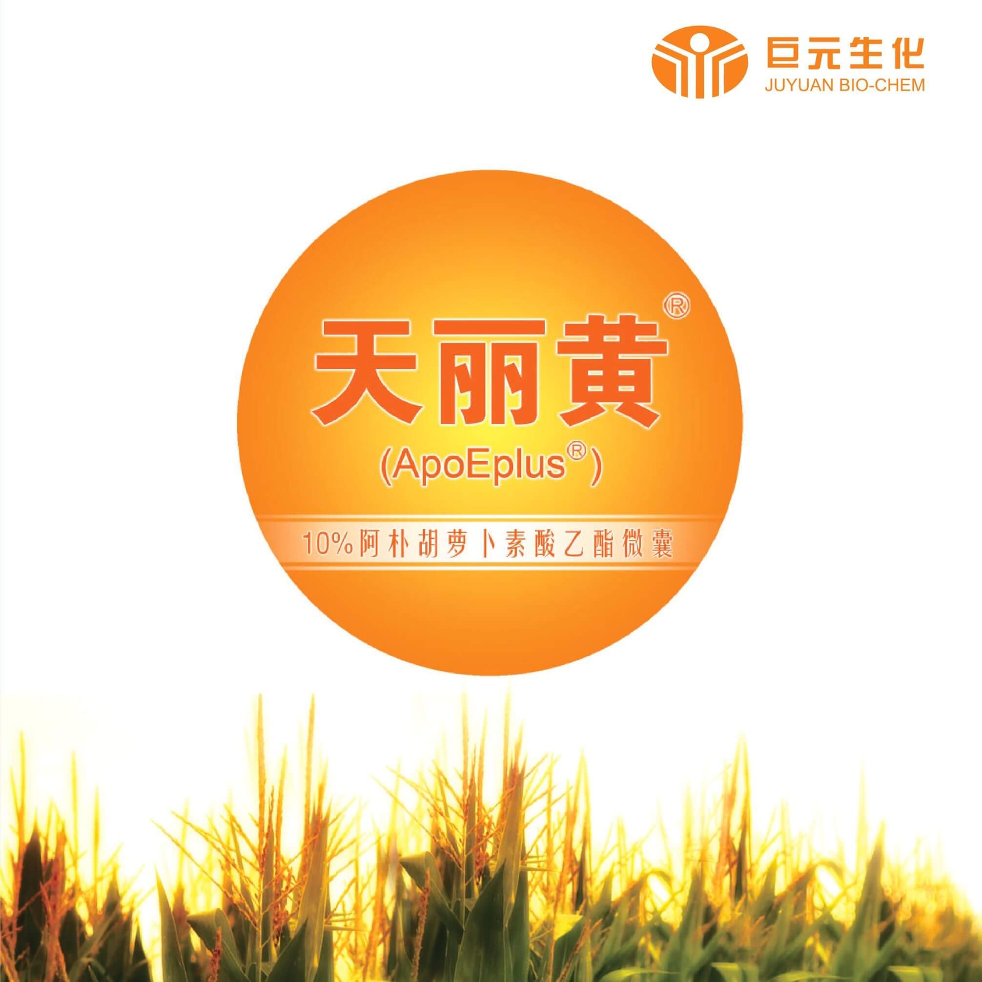 天丽黄
