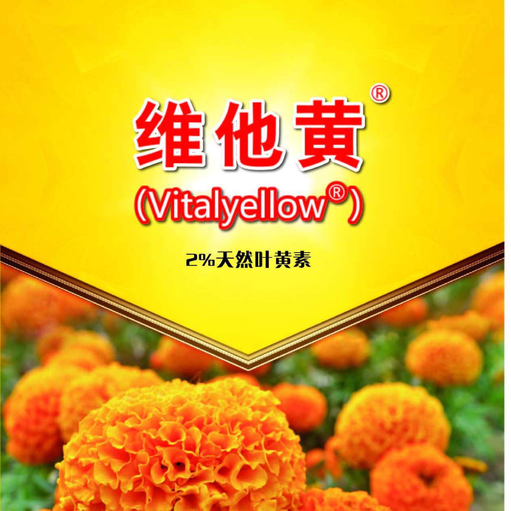 维他黄